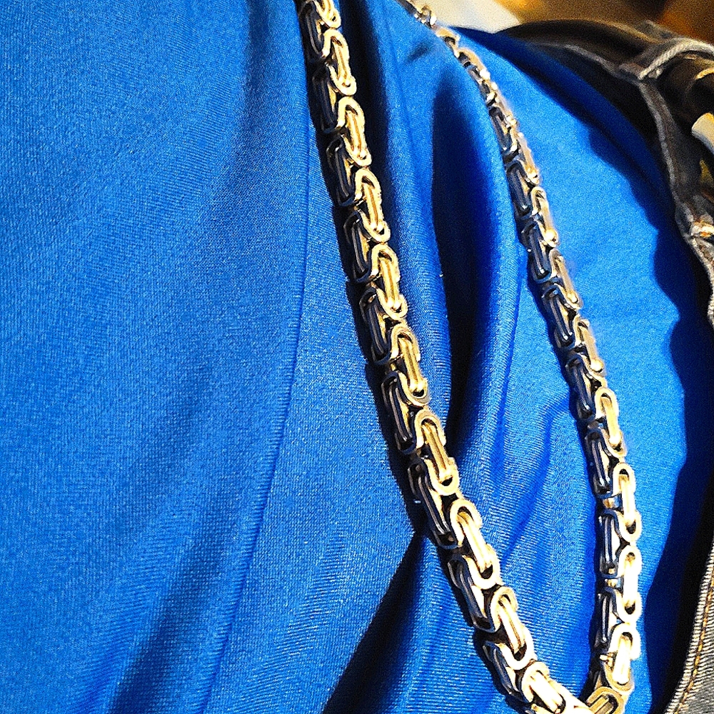 Chunky link chain wcj brand brand new!!